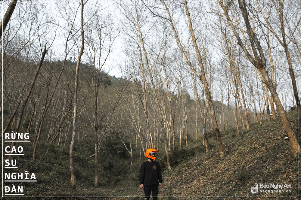 10-diem-ngam-thu-dep-nhat-nghe-an-wetrekvn