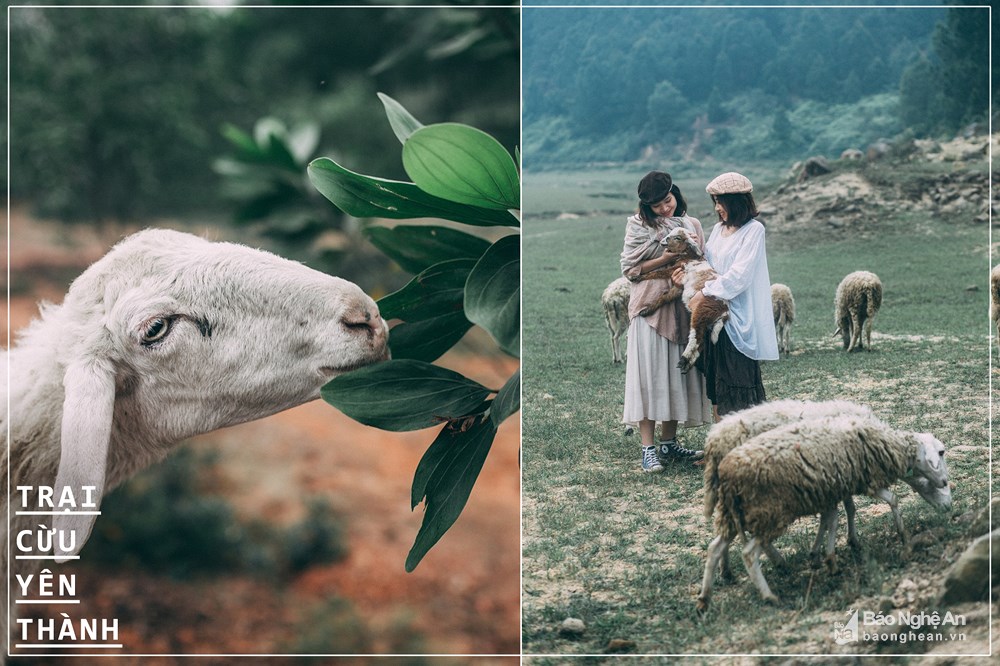 10-diem-ngam-thu-dep-nhat-nghe-an-wetrekvn