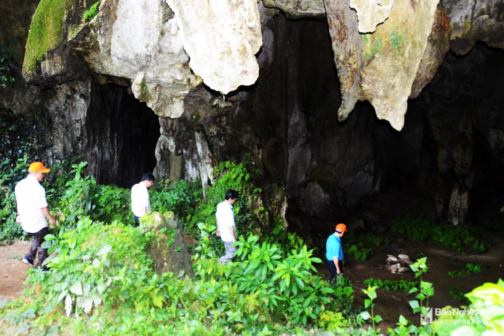 hang-dong-day-thach-nhu-lap-lanh-anh-vang-mien-tay-nghe-an-wetrekvn