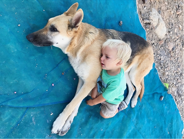 cap-vo-chong-bo-thanh-pho-dua-3-con-di-ngao-du-tren-xe-hoi-du-lich-wetrekvn