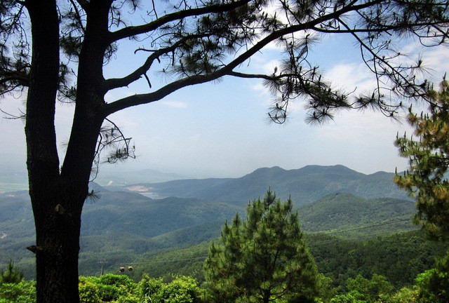8-dia-diem-de-ban-lam-quen-voi-trekking-tai-viet-nam-wetrekvn
