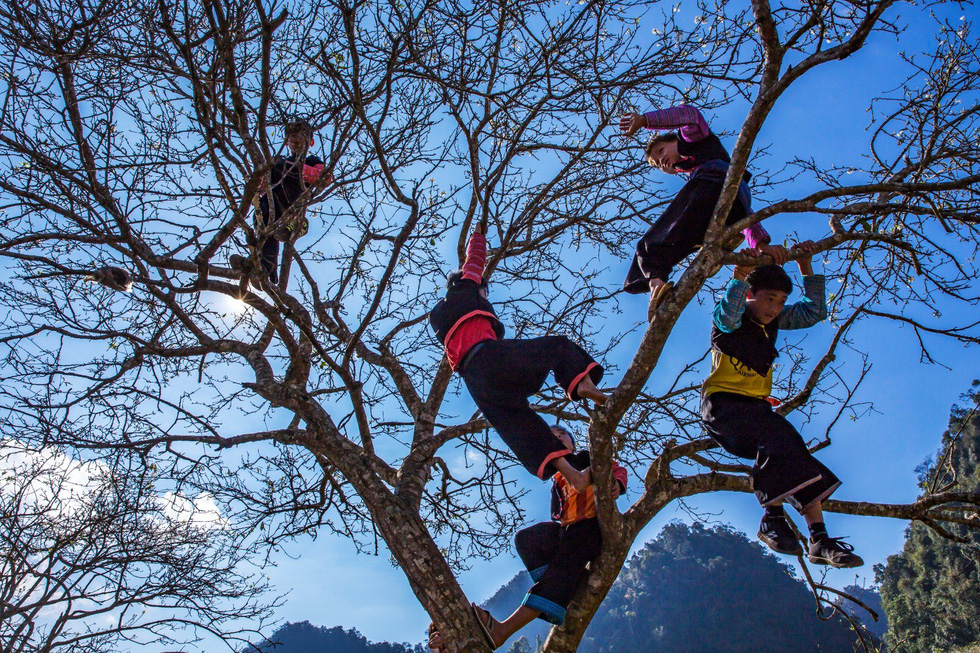 mua-hoa-man-trang-cua-nguoi-Mong-ban-Phien-Canh-wetrekvn