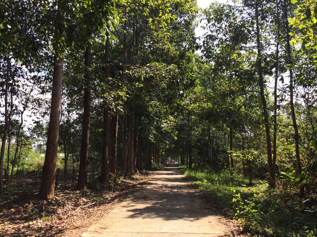 mot-so-ki-nang-can-thiet-khi-di-trekking-wetrekvn