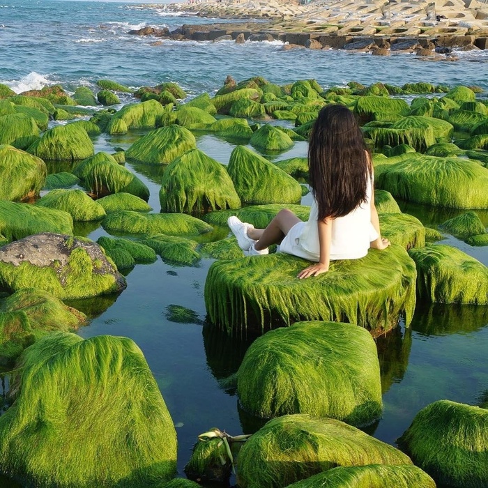 nao-long-mua-reu-xanh-phu-tran-bai-da-o-binh-thuan-wetrekvn