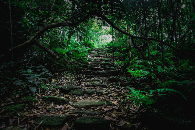 8-dia-diem-de-ban-lam-quen-voi-trekking-tai-viet-nam-wetrekvn