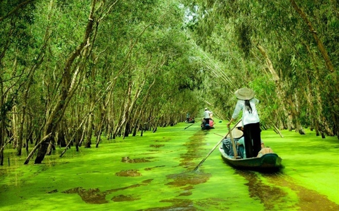 thien-duong-nghi-duong-trong-mien-nam-wetrekvn