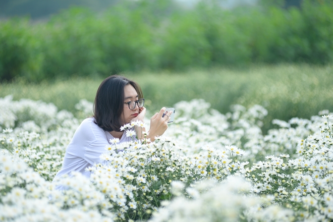 nhon-nhip-cuc-hoa-mi-o-ha-noi-wetrekvn