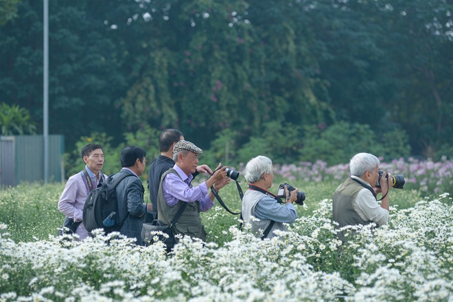 nhon-nhip-cuc-hoa-mi-o-ha-noi-wetrekvn