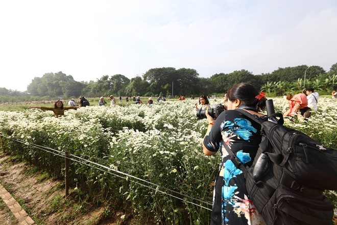 nhon-nhip-cuc-hoa-mi-o-ha-noi-wetrekvn