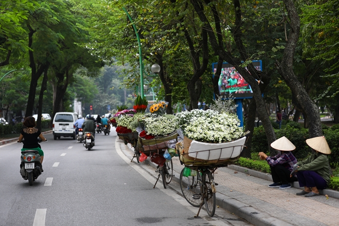 nhon-nhip-cuc-hoa-mi-o-ha-noi-wetrekvn