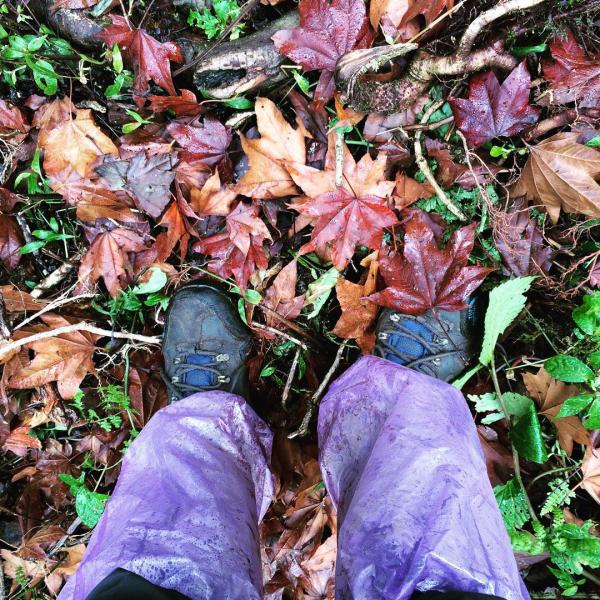 trekking-dinh-putaleng-de-duoc-dam-chim-su-huyen-bi-cua-nui-rung-lai-chau-wetrekvn