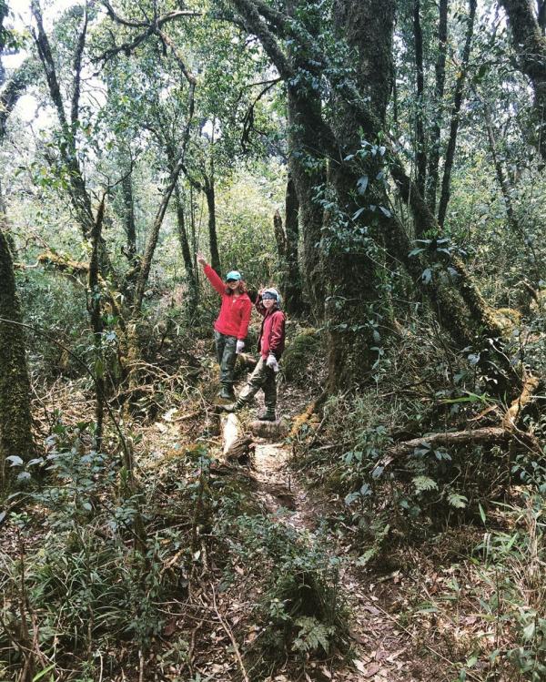 trekking-dinh-putaleng-de-duoc-dam-chim-su-huyen-bi-cua-nui-rung-lai-chau-wetrekvn