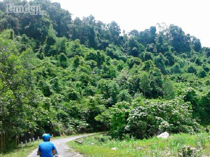 thich-phuot-ma-ngai-trekking-thi-cu-chon-cung-tri-an-ma-da-chien-khu-D-thang-tien-wetrekvn