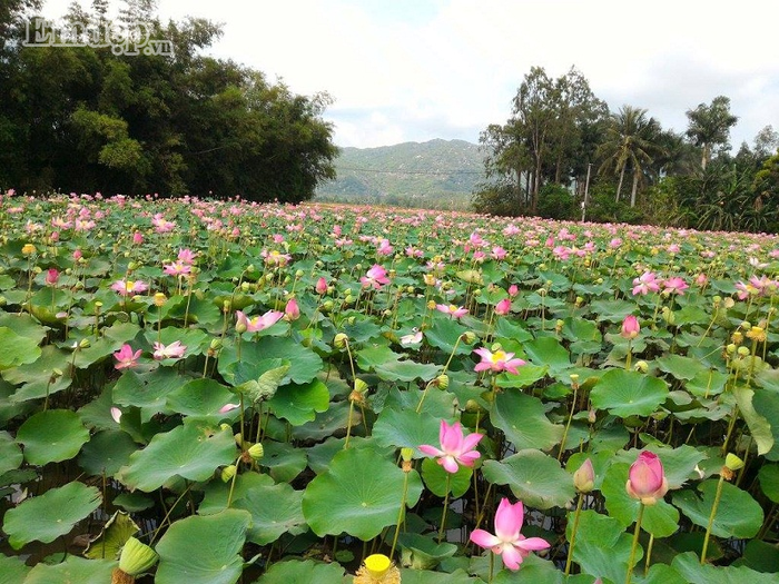 thich-phuot-ma-ngai-trekking-thi-cu-chon-cung-tri-an-ma-da-chien-khu-D-thang-tien-wetrekvn