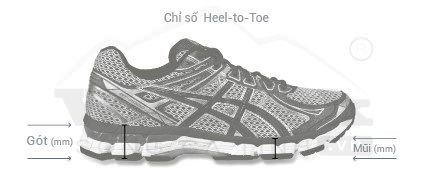 chi-so-heel-to-toe-heel-to-toe drop-wetrek.vn
