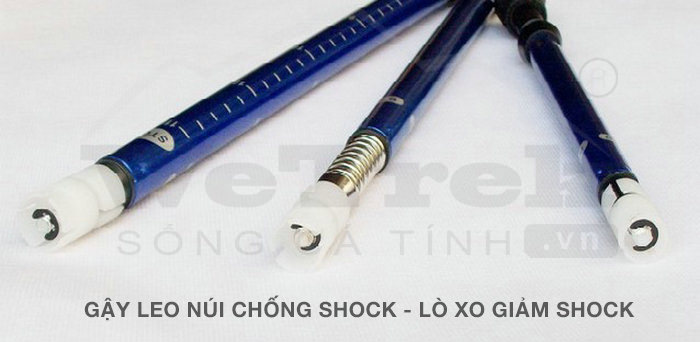 gay-leo-nui-chong-shock-lo-xo-giam-shock-wetrek.vn