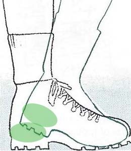 huong-dan-thu-giay-vua-kich-co-wetrek.vn-4