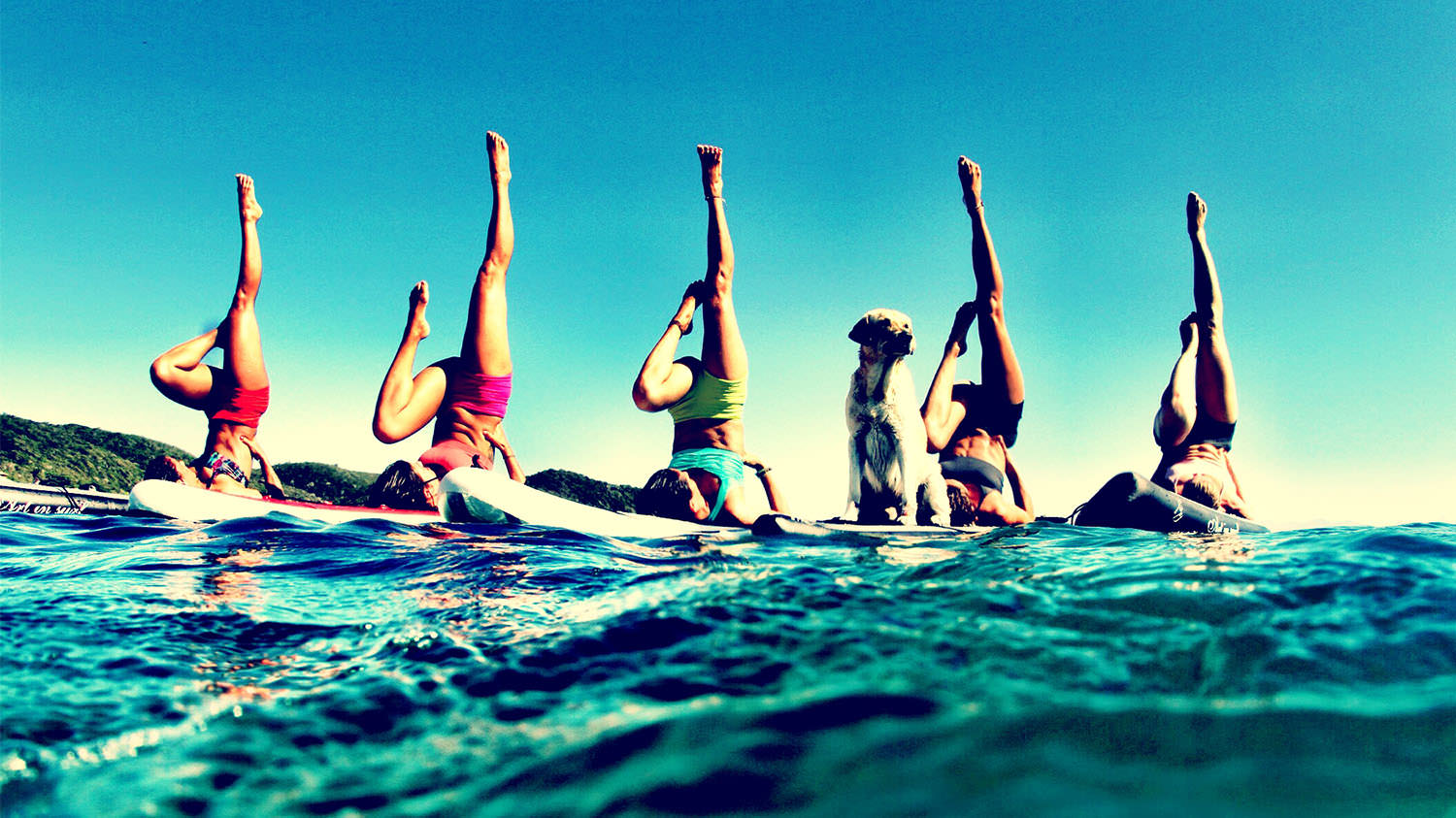 sup-yoga-van-cheo-dung-wetrek.vn