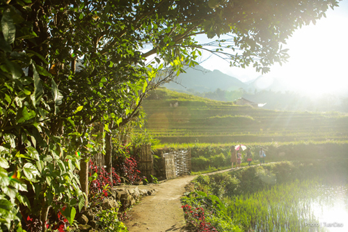 5-diem-den-tet-duong-lich