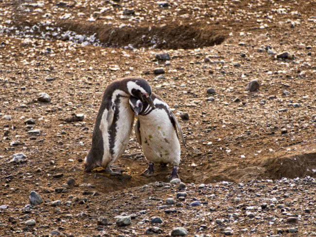 ban-co-muon-biet-noi-tan-cung-trai-dat-trong-nhu-the-nao