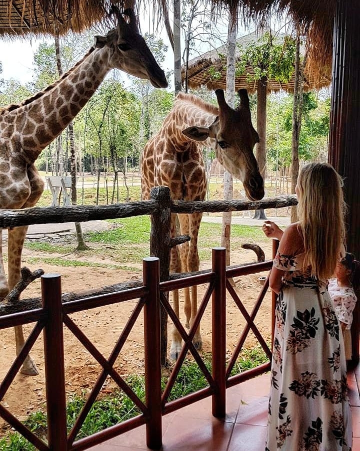 diem-den-du-lich-30/4-1/5-phu-hop-cho-tre-em