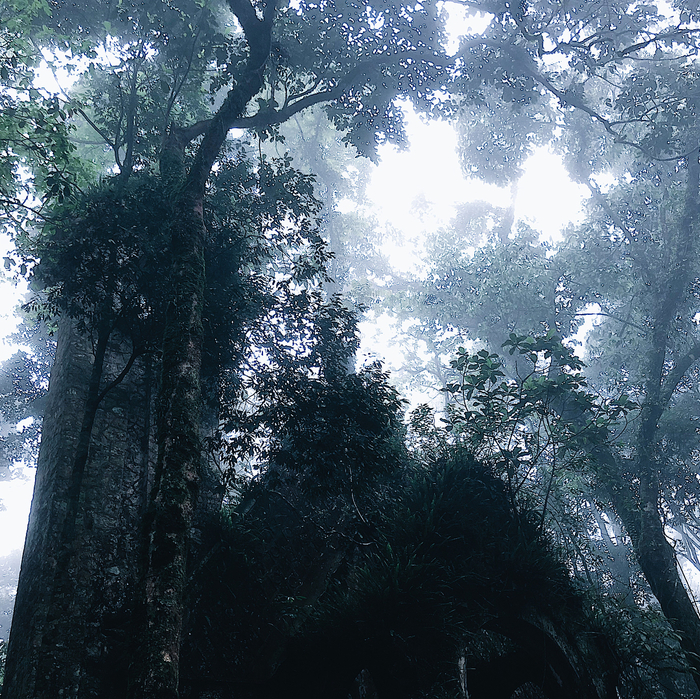 5-dia-diem-du-lich-tro-nen-noi-tieng-sau-khi-bi-bo-hoang-tai-viet-nam