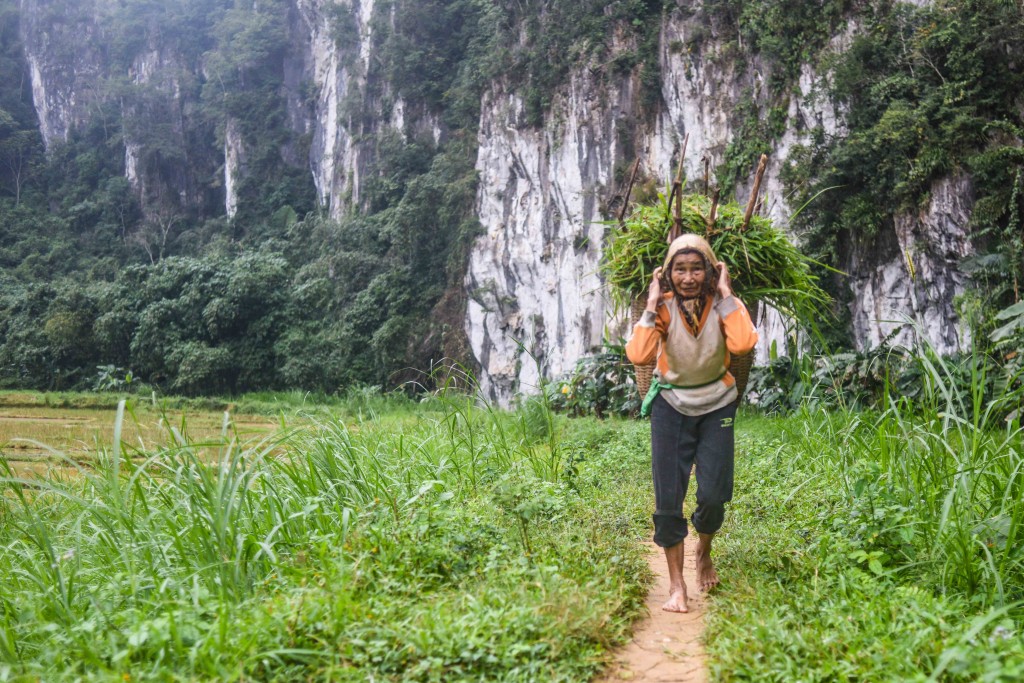 vietnam-jungle-marathon