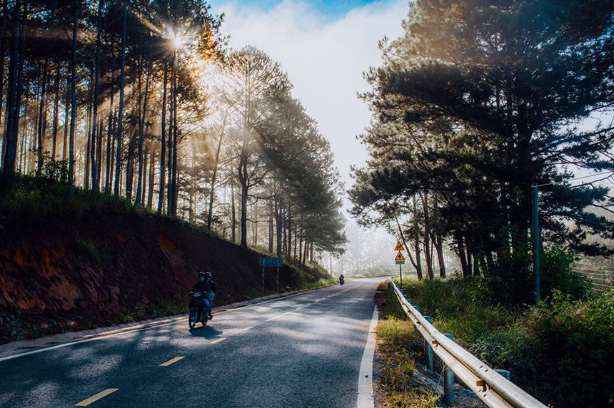 binh-yen-doi-che-cau-dat