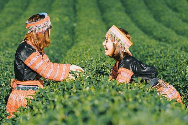 30/4-1/5-nha-nha-di-choi-tai-sao-ban-o-nha