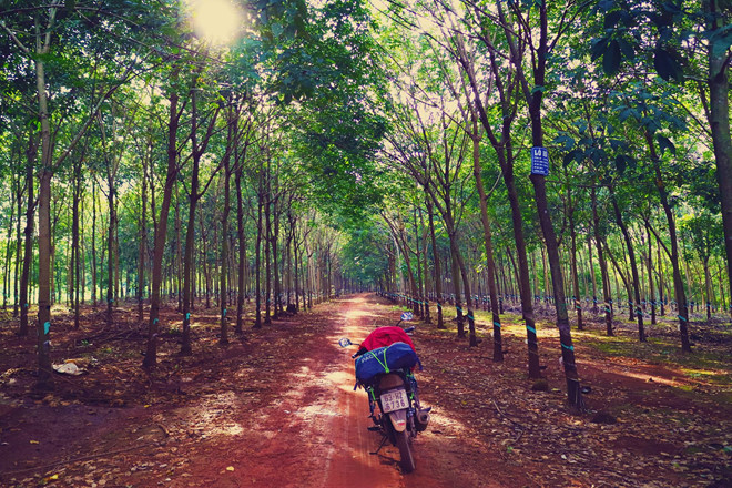 thoa-chi-dam-me-xe-dich-voi-4-cung-duong-duoc-dan-phuot-ngoi-khen-dep-nhat-viet-nam