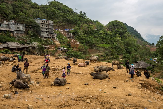 kham-pha-phien-cho-can-cau-net-hoang-so-hiem-hoi-con-lai-o-tay-bac