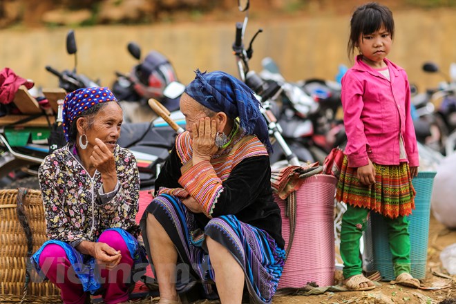 kham-pha-phien-cho-can-cau-net-hoang-so-hiem-hoi-con-lai-o-tay-bac