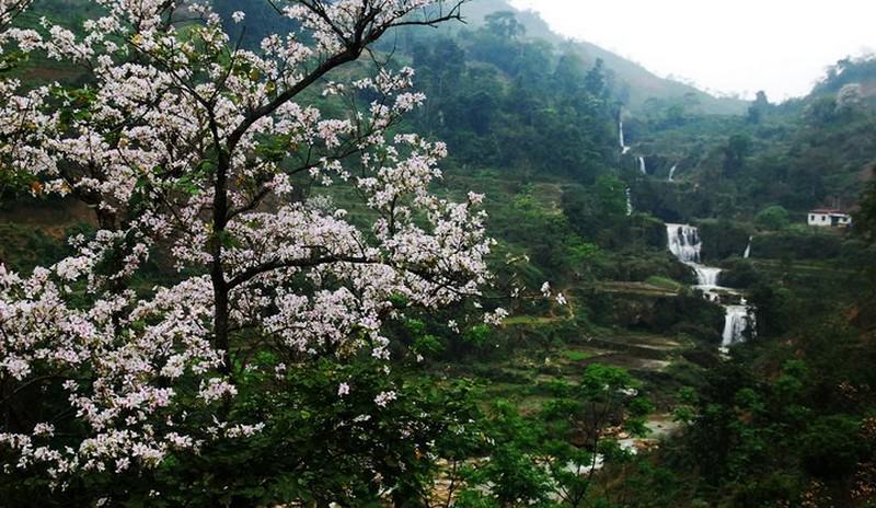 10-diem-den-khong-the-bo-lo-cho-nhung-ke-cuong-chan-khi-thang-3-ve-wetrek.vn