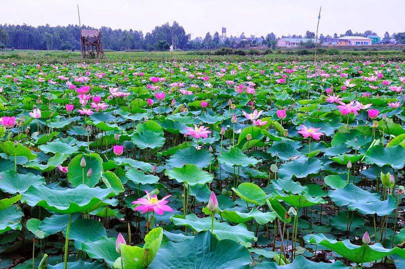 10-diem-den-khong-the-bo-lo-cho-nhung-ke-cuong-chan-khi-thang-3-ve-wetrek.vn