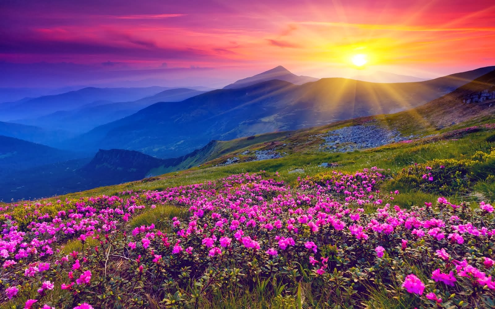 10-diem-den-tai-an-do-don-tim-hang-loat-dan-me-hoat-dong-giai-tri-ngoai-troi-wetrek.vn