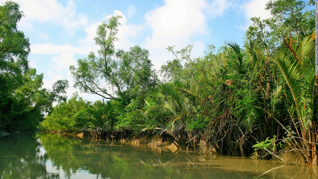 10-diem-den-tai-an-do-don-tim-hang-loat-dan-me-hoat-dong-giai-tri-ngoai-troi-wetrek.vn