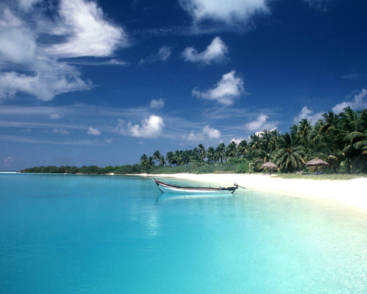 10-diem-den-tai-an-do-don-tim-hang-loat-dan-me-hoat-dong-giai-tri-ngoai-troi-wetrek.vn