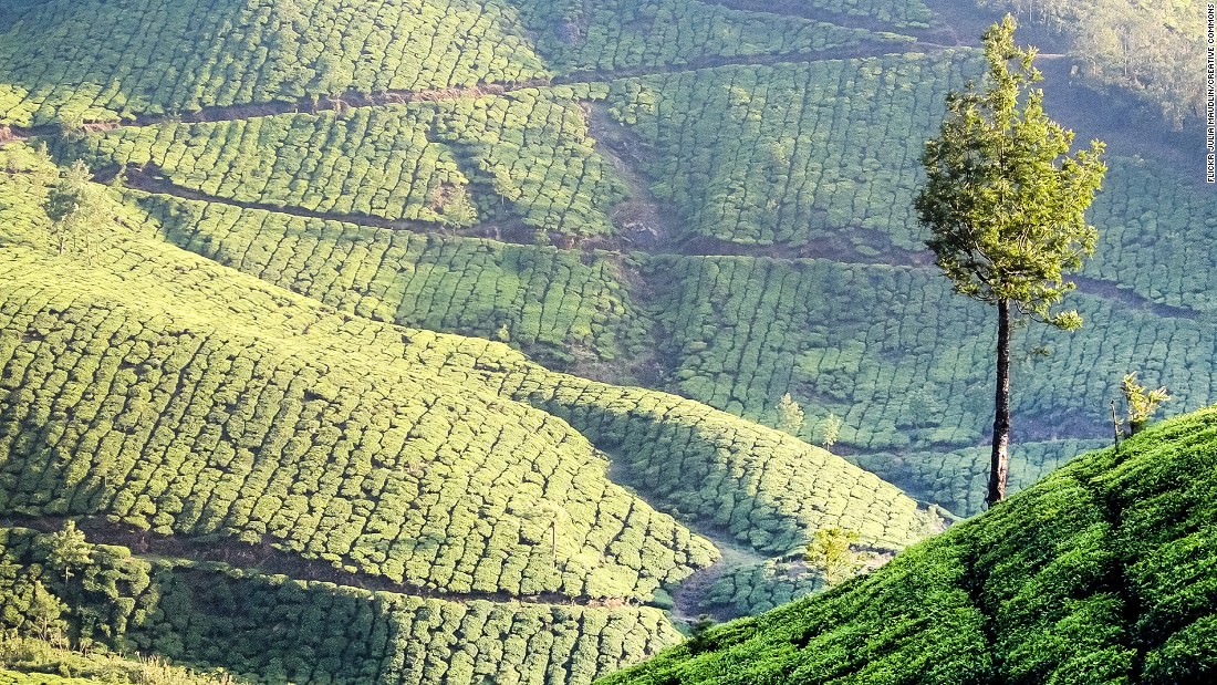 10-diem-den-tai-an-do-don-tim-hang-loat-dan-me-hoat-dong-giai-tri-ngoai-troi-wetrek.vn