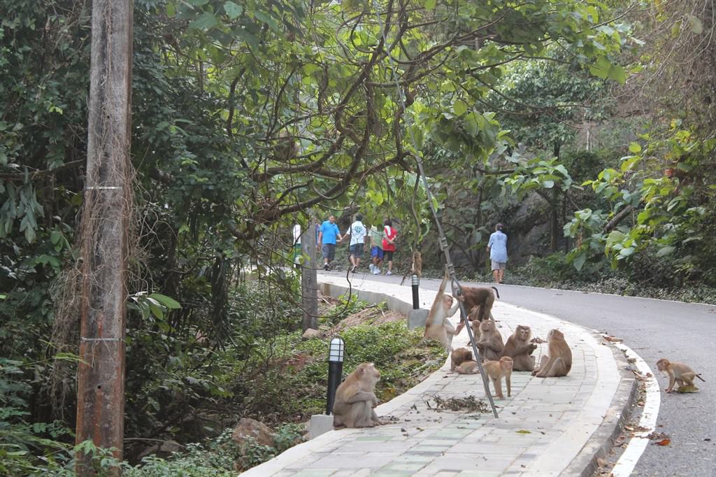 15-dia-diem-du-lich-duoc-tim-kiem-nhieu-nhat-dong-nam-a-2016-wetrek.vn