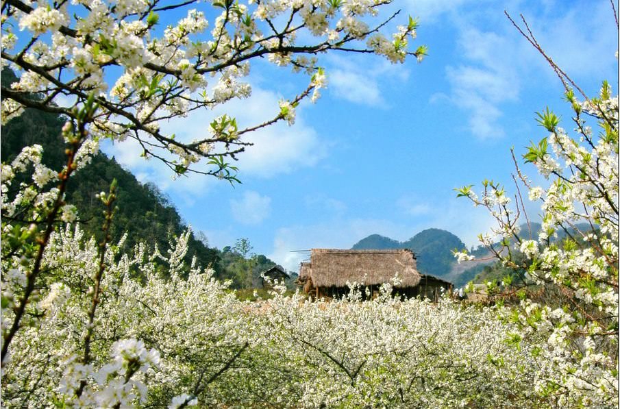 5-cung-duong-dang-can-nhac-cho-chuyen-du-xuan-dau-nam-moi-wetrek.vn