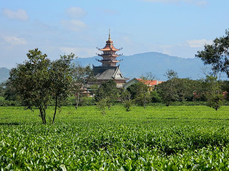 5-diem-quyen-ru-khien-ban-khong-the-khong-ghe-pleiku-he-nay-wetrek.vn