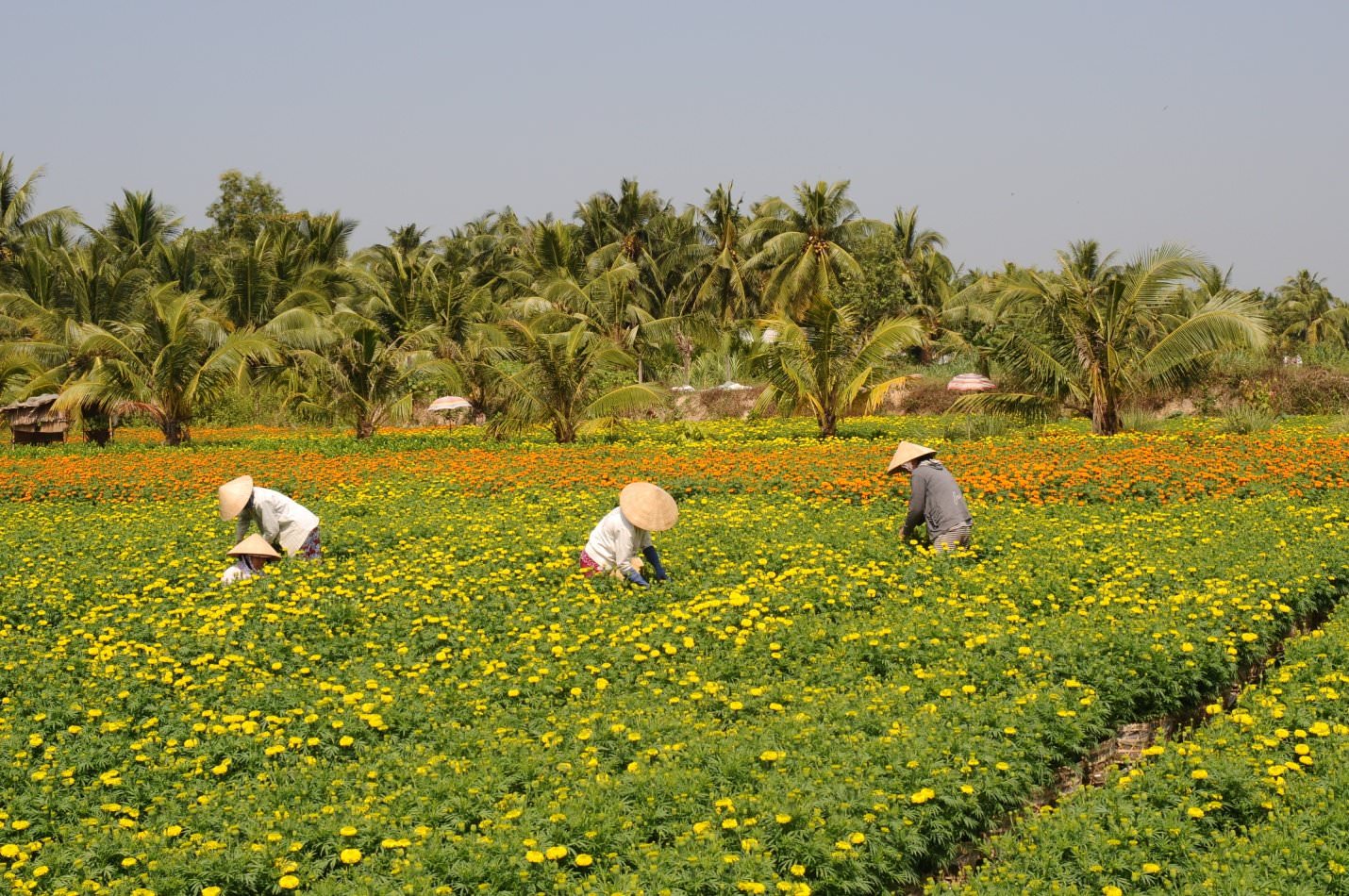 6-diem-den-ban-khong-the-bo-lo-trong-thang-1-nay-wetrek.vn