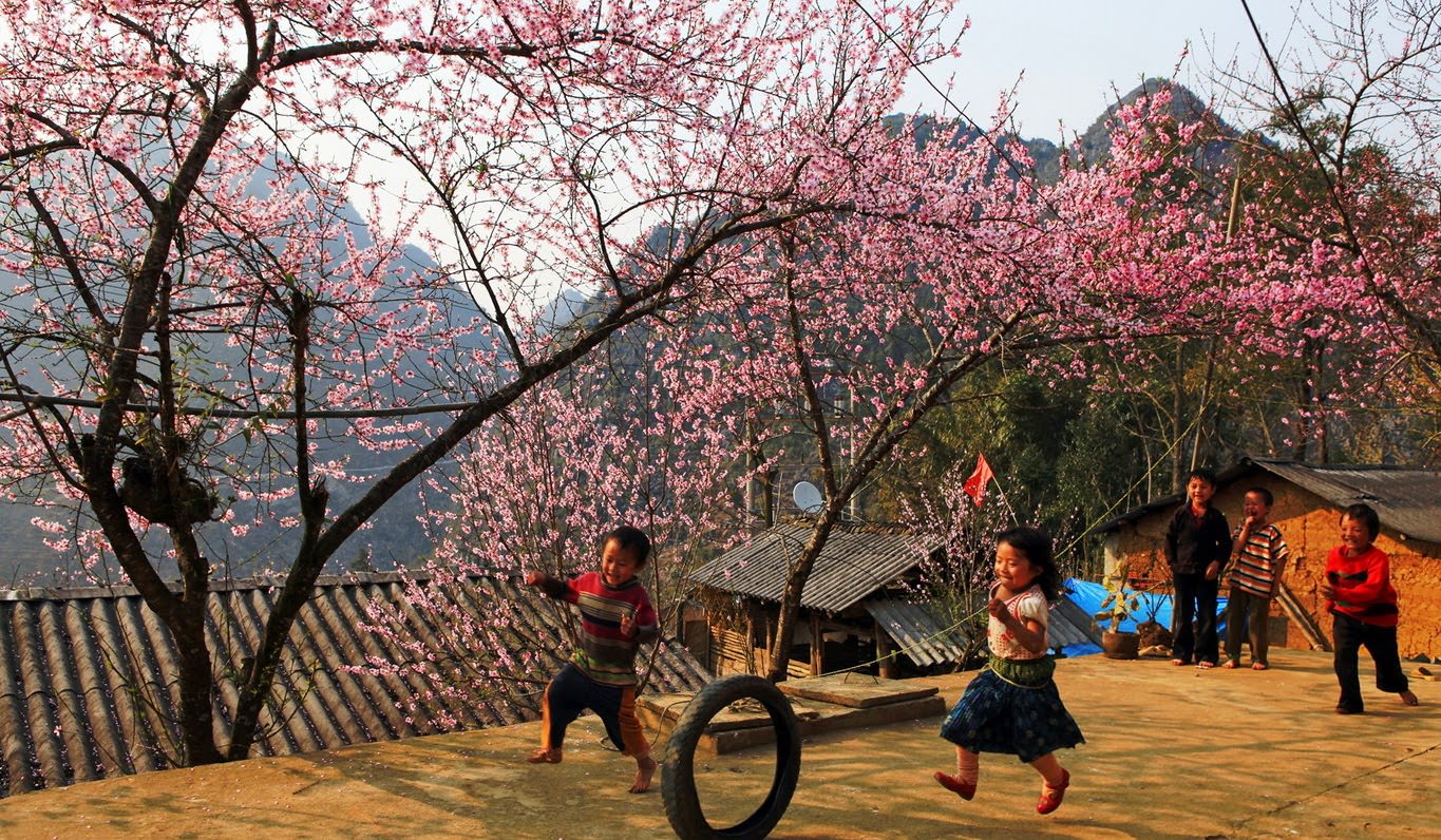 6-loai-hoa-xuan-khien-ban-muon-nhac-mong-len-ngay-va-luon-wetrek.vn