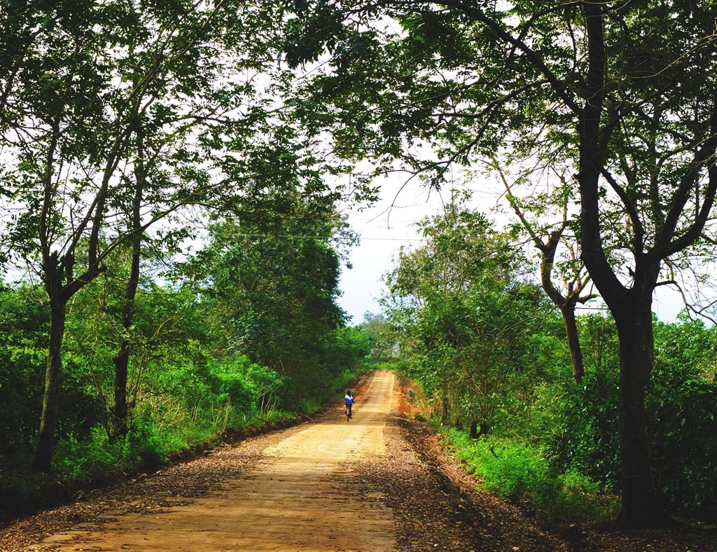 Bat-mi-cung-duong-xuyen-viet-cucla-rat-it-dau-chan-lu-hanh-wetrek.vn