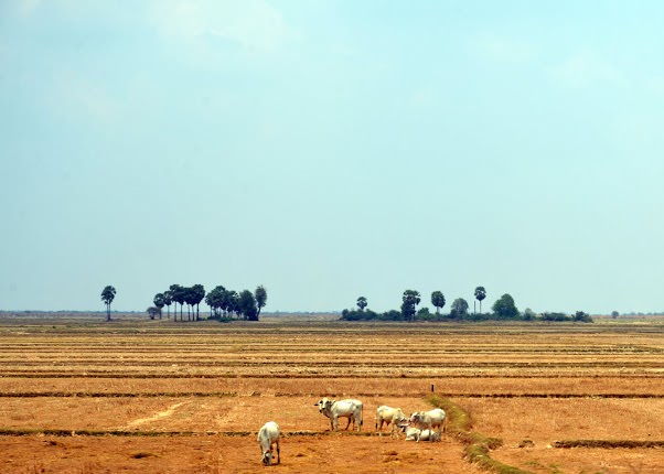 Campuchia-thien-duong-hoat-dong-giai-tri-ngoai-troi-bi-lang-quen-wetrek.vn