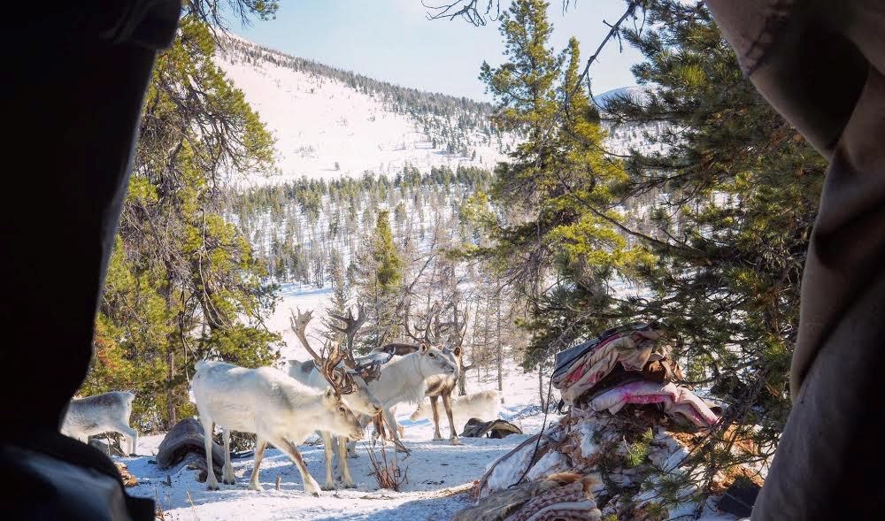 Chang-trai-Viet-di-san-dai-bang-giua-mua-dong-mong-co-wetrek.vn