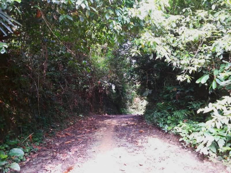 Cuoi-tuan-ru-nhau-di-tranh-nang-sieu-thich-tai-ngon-thac-ngay-gan-ha-noi-wetrek.vn