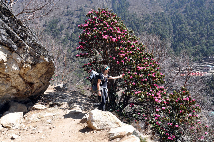 Huong-dan-day-du-nhat-cho-chuyen-trekking-tai-everest-base-camp-tram-nghi-nepal-wetrek.vn