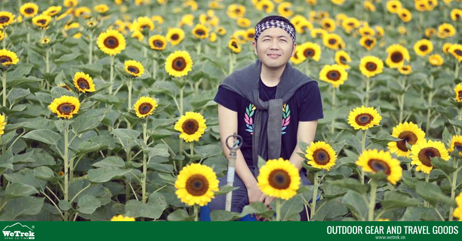 Nhanh-chan-san-anh-dep-tai-canh-dong-hoa-huong-duong-no-ro-o-vuon-hoa-man-dinh-hong-wetrek.vn