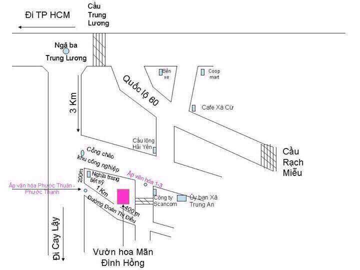 Nhanh-chan-san-anh-dep-tai-canh-dong-hoa-huong-duong-no-ro-o-vuon-hoa-man-dinh-hong-wetrek.vn